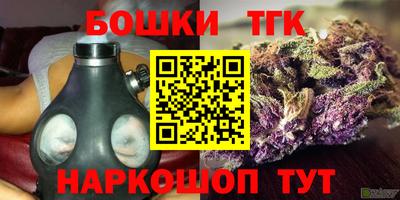 прущие крисы Гай