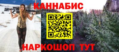 прущие крисы Гай