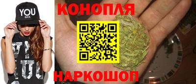 прущие крисы Гай