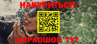 мдпв Гатчина