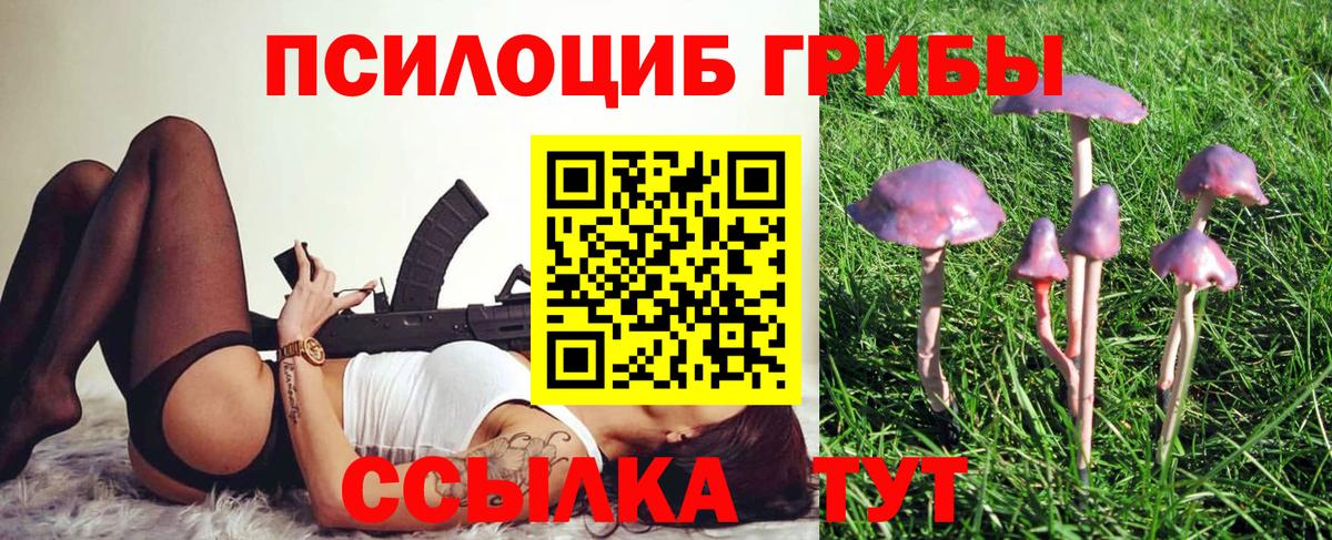 Псилоцибиновые грибы мицелий  Псилоцибиновые грибы прущие грибы  Киреевск  Вход с VPN 