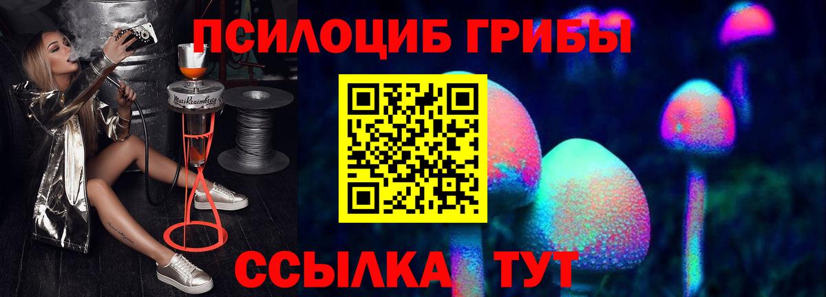 Псилоцибиновые грибы Psilocybe Киреевск
